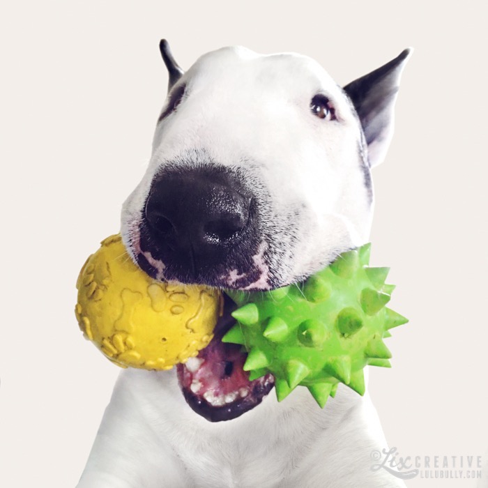 Buttface Yollum Spike