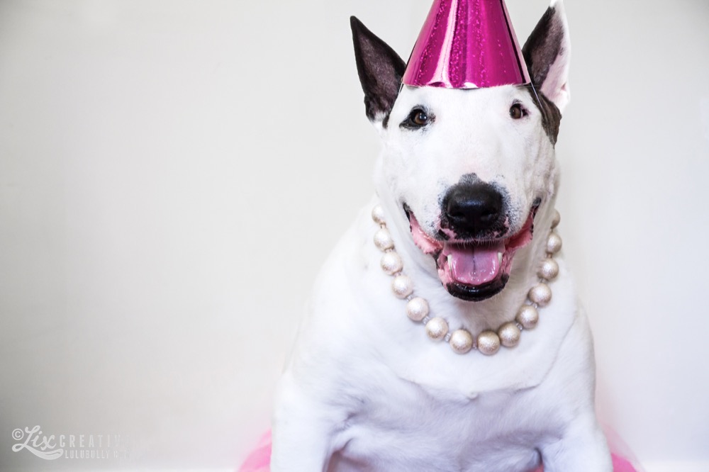 Luie 12th birthday 8103