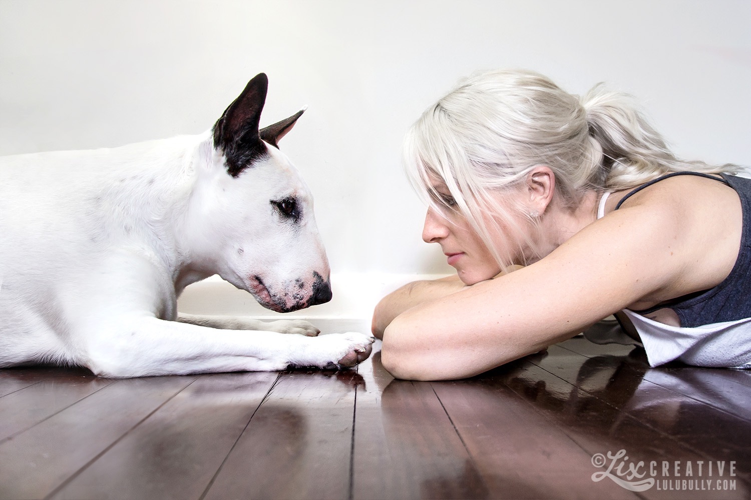 LuluBully Lix eye to eye 2015 1500px