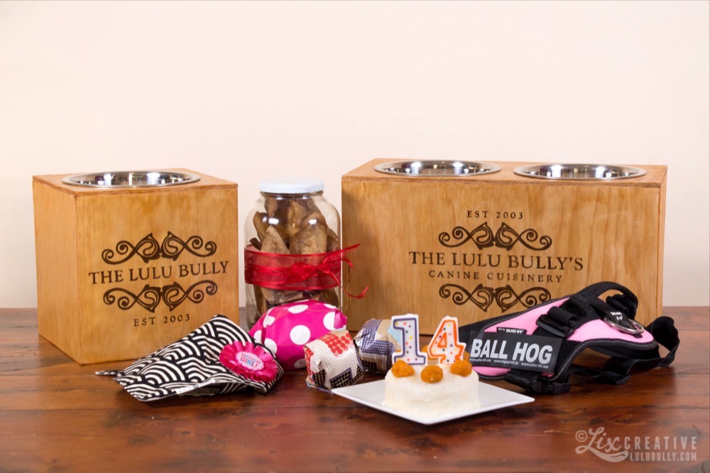 Lulu 14th Birthday 0944 Watermarked 1