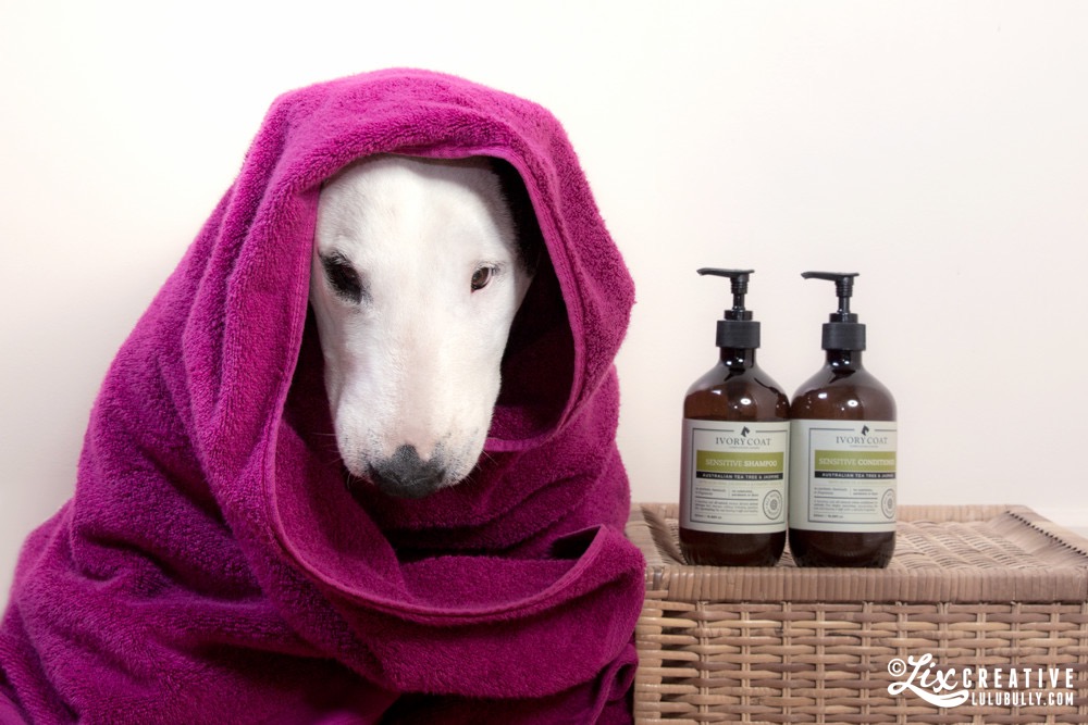 Lulu Health Blog Bathtime 9197