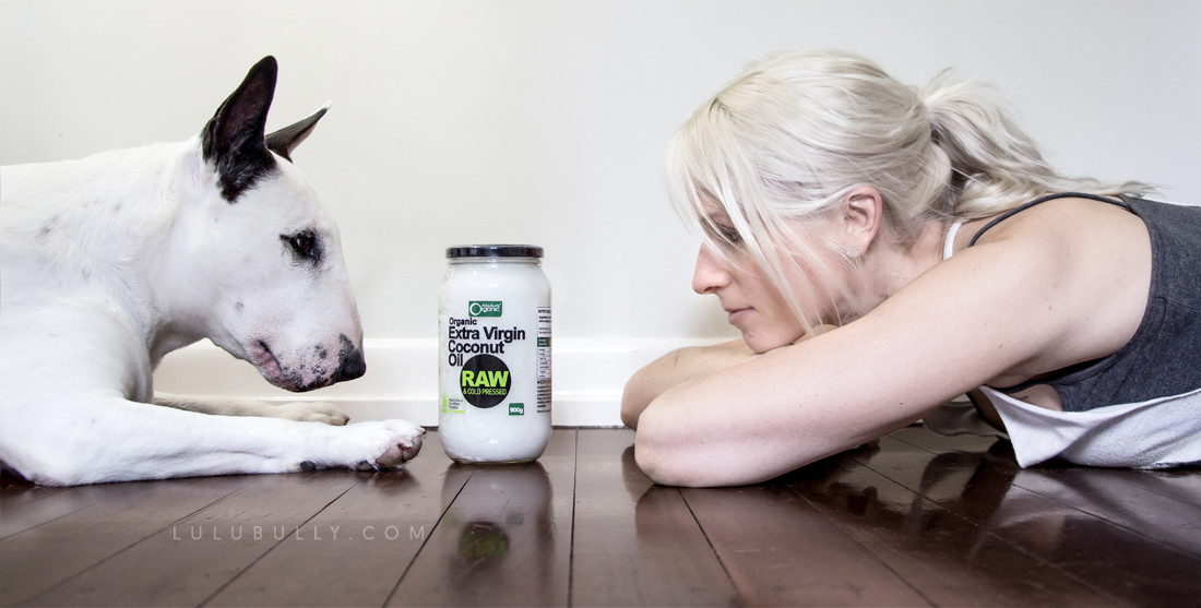 Coconut oil for Lulu