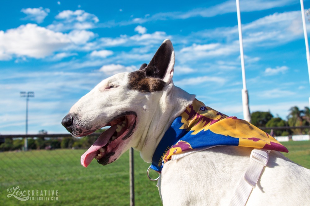 Lulu Ressies June7 2014 5456 2500px