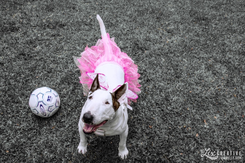 Photo 10 10 2014 10 29 53 am