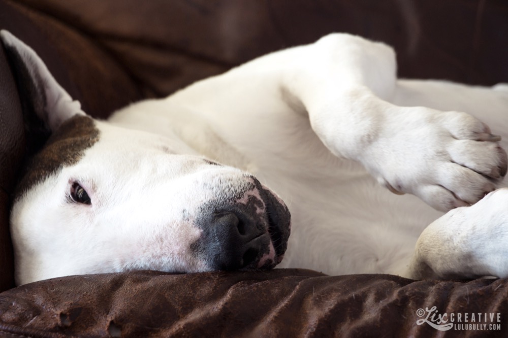 Luie Chew and Chair Jan2015 8051 Watermarked 1