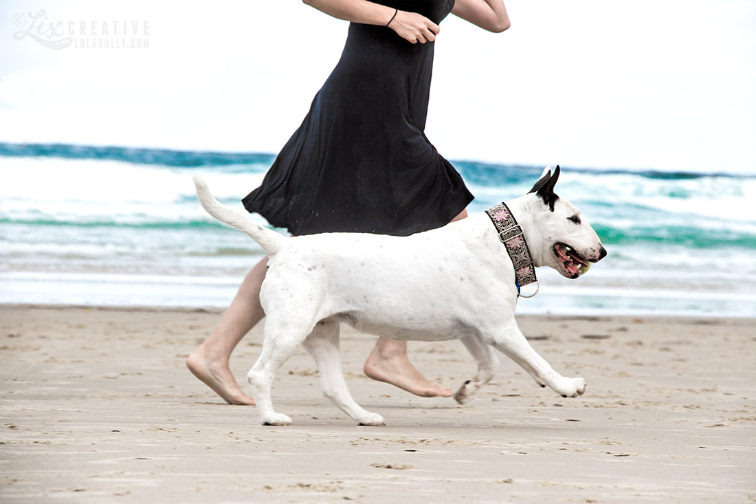 Luie PointDanger Beach Jan5 2015 8032 1100px WM