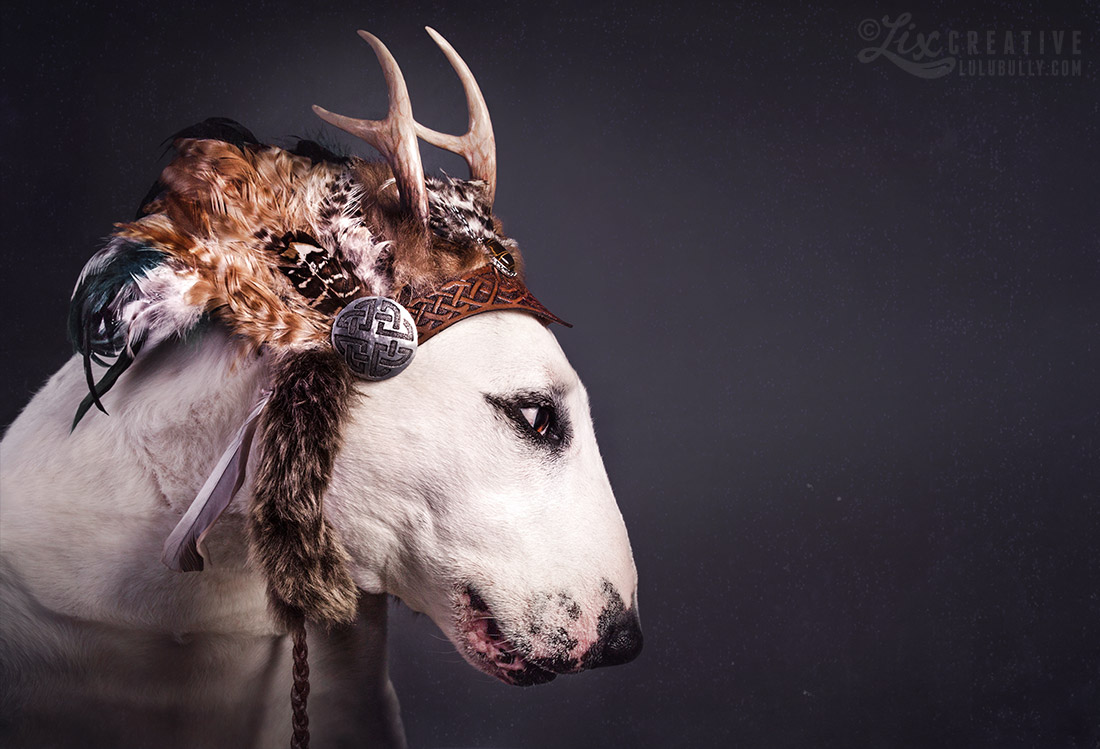 LuluBarbarian 2016 0138 extended landscape 1100 WM