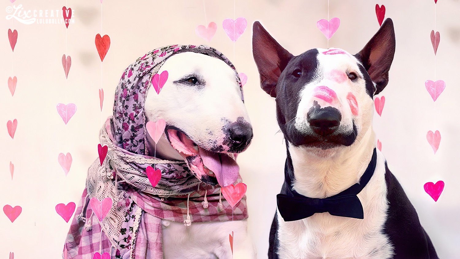 LuluBully and Sterling Valentines 16x9 1500px