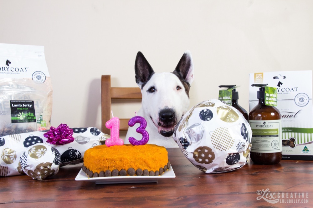 Lulu 13th Birthday Jan1216 8908 Watermarked 1