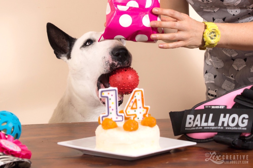 Lulu 14th Birthday 0991 crop Watermarked 1