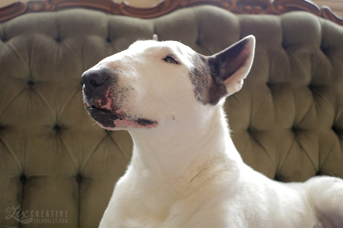 Lulu Flower Girl 80D Test 0450 1100px WM