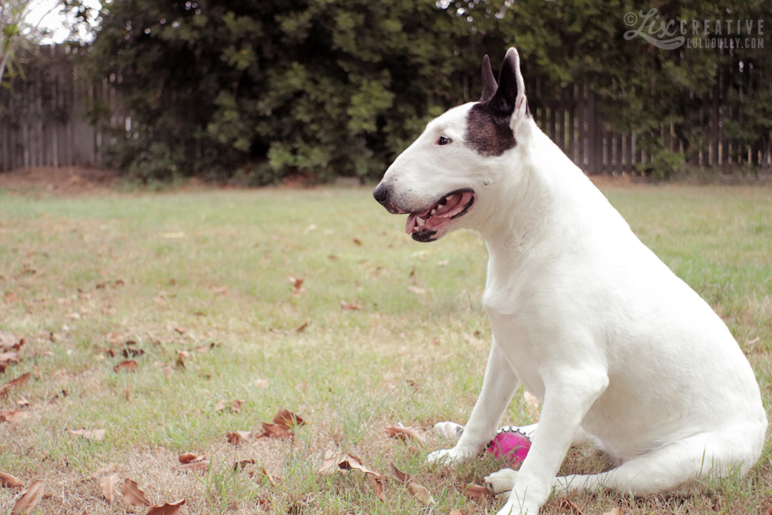 Lulu Flower Girl 80D Test 0521 1100px WM