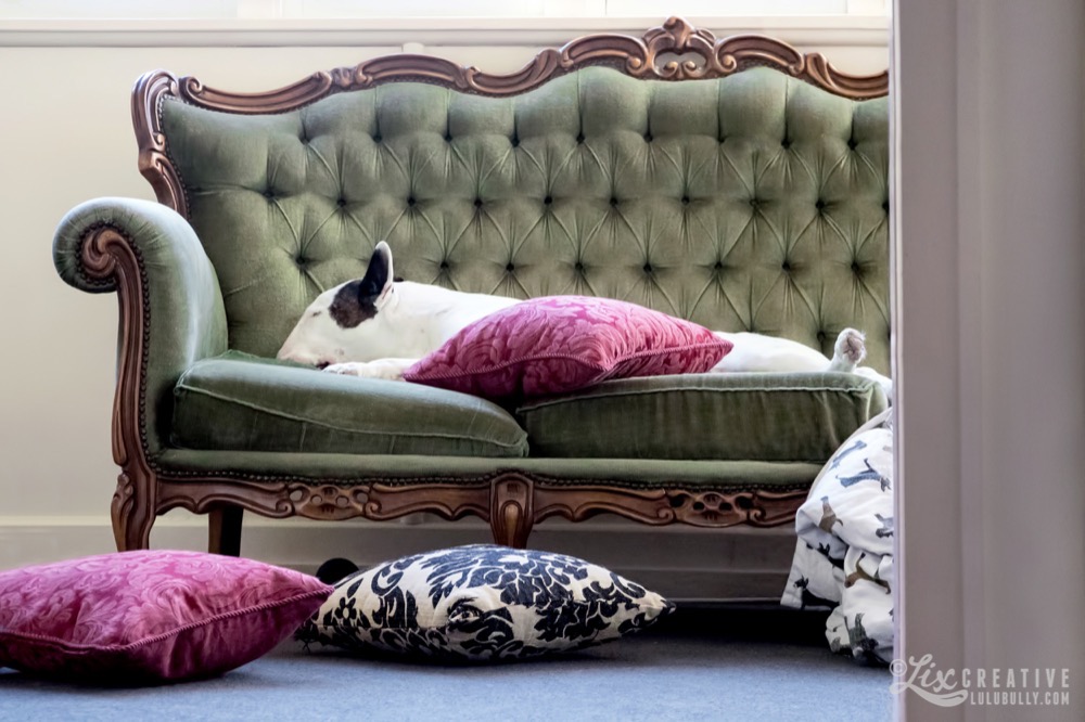 Lulu Graceville 0965 2500px Watermarked 1