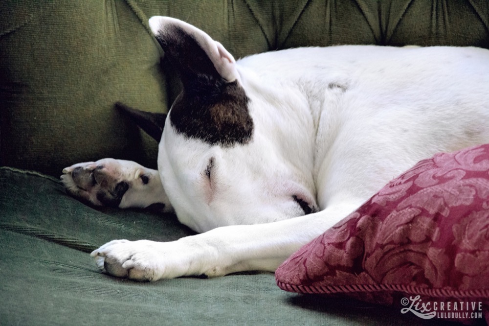 Lulu Graceville 0972 2500px Watermarked 1