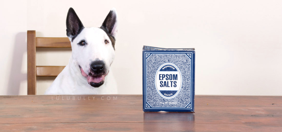Epsom salts for bull terrier paw soaks