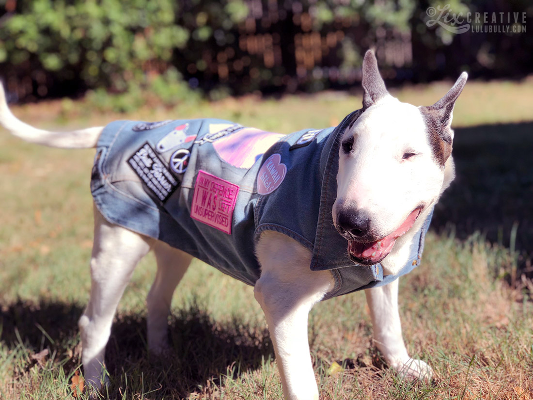 Lulu Kawaii Bitch Denim Dog 3650 1100px WM