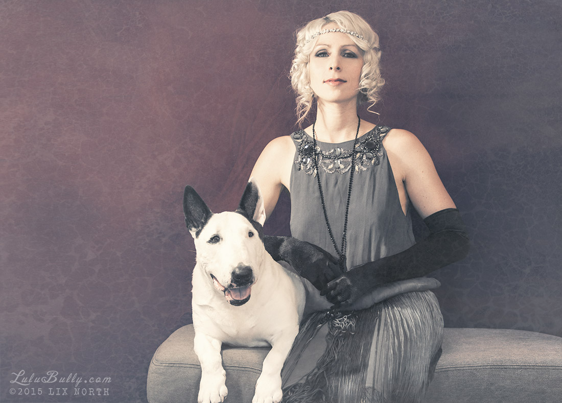 Vintage Lulu Bull Terrier and Lix 2015 02 1100px WM